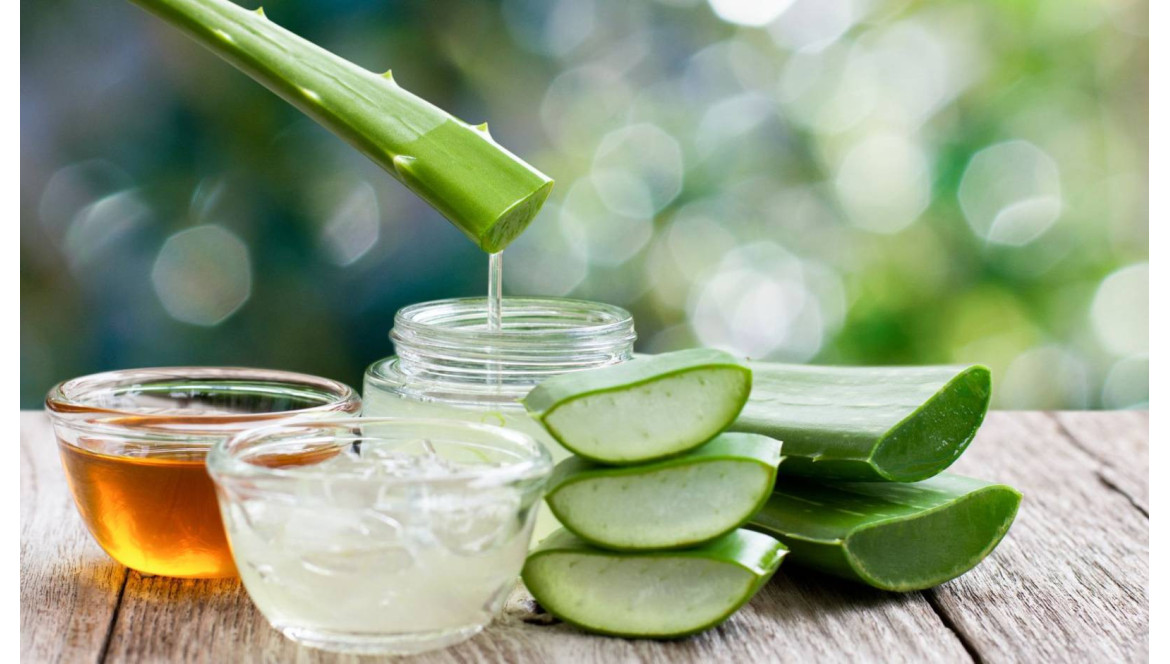 L'aloe vera pour prendre soin de vos cheveux, conseillé par le Laboratoire CSBS ODEMER.